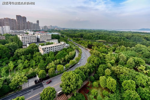 嘉興平湖愛(ài)情花漫里官方網(wǎng)站 開啟浪漫生活，歡迎您的到來(lái)